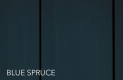 Blue Spruce