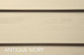 Antique Ivory