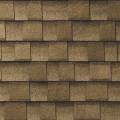 shakewood