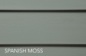 Spanish Mosh