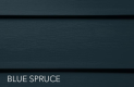 Blue Spruce